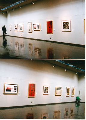 浜松市美術館版画大賞展　2003年