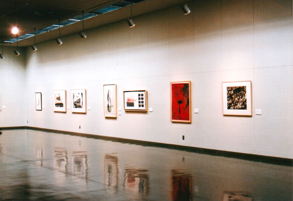 浜松市美術館版画大賞展　2003年