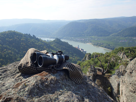 Wandern am Vogelbergsteig Dürnstein, Wachau 