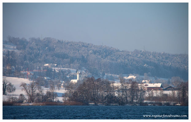 Greifensee (8784)