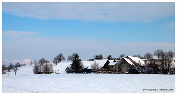 (Greifensee (8748)