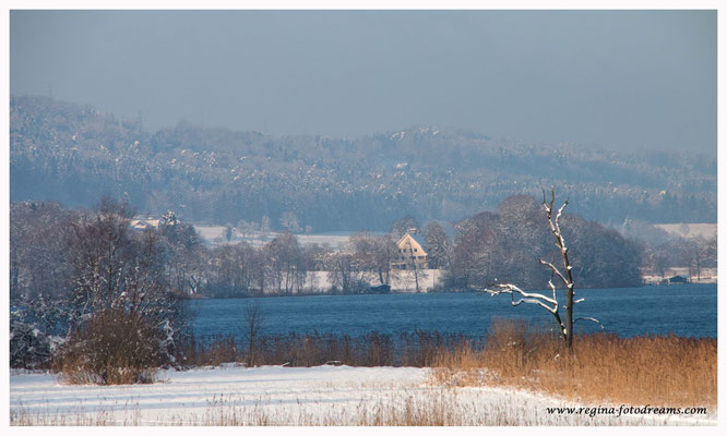 Greifensee (8751)