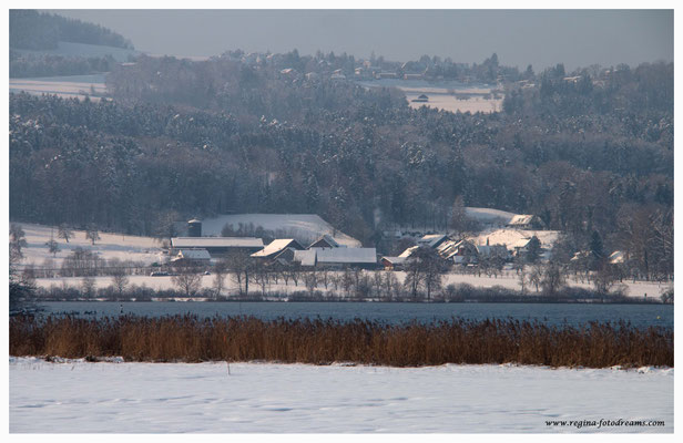 Greifensee (8745)