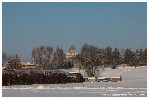Burg Uster (8820)