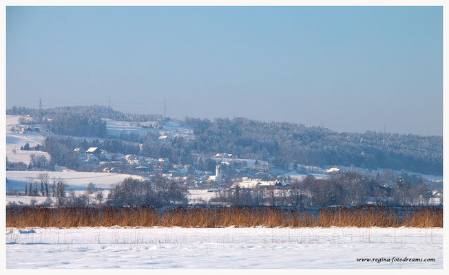 Greifensee (8809)