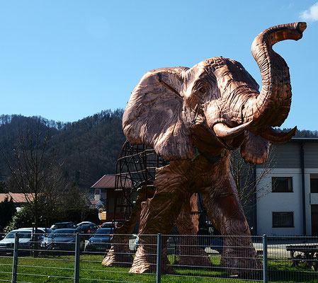 bodenseeelefant