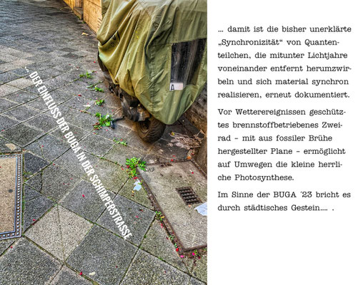 Kommentar von UweB.