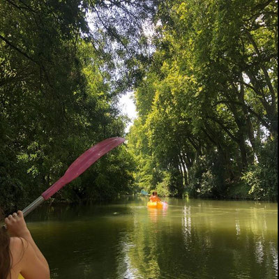 Balade en Canoë sur la chalaronne