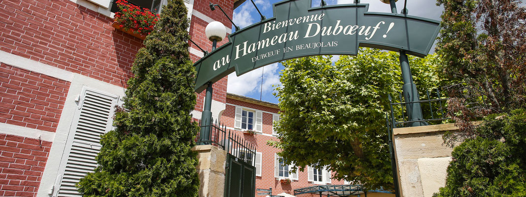 Dégustation de vin au Hameau du boeuf