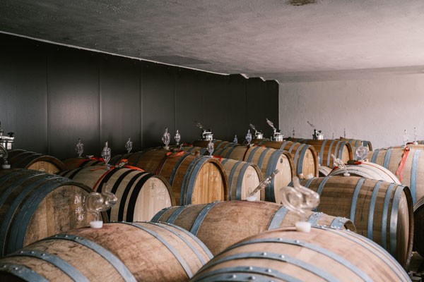 Weingut Johannes Zillinger Keller