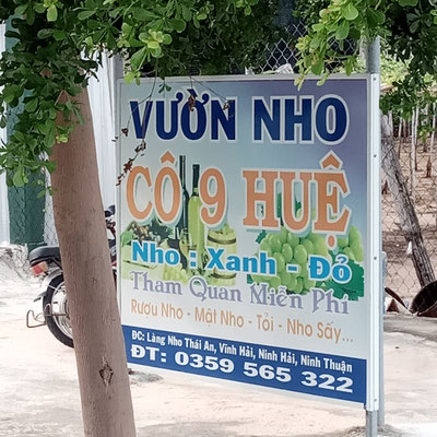 domaine-viticole-production-raisins-vin-phan-rang-vietnam-oenotourisme