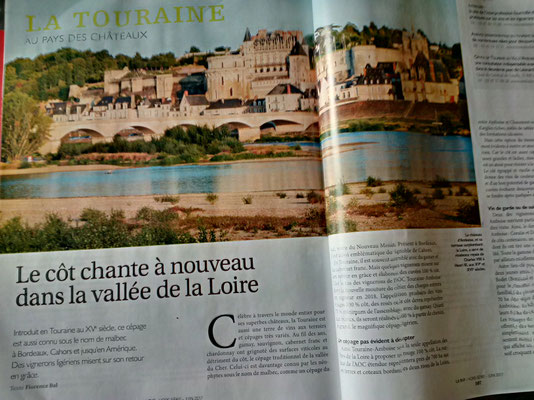 article-revue-du-vin-de-france-visite-vignoble-cave-degustation-oenologie-amboise-vouvray-tours-val-de-loire-Rendez-Vous-dans-les-Vignes-Myriam-Fouasse-Robert