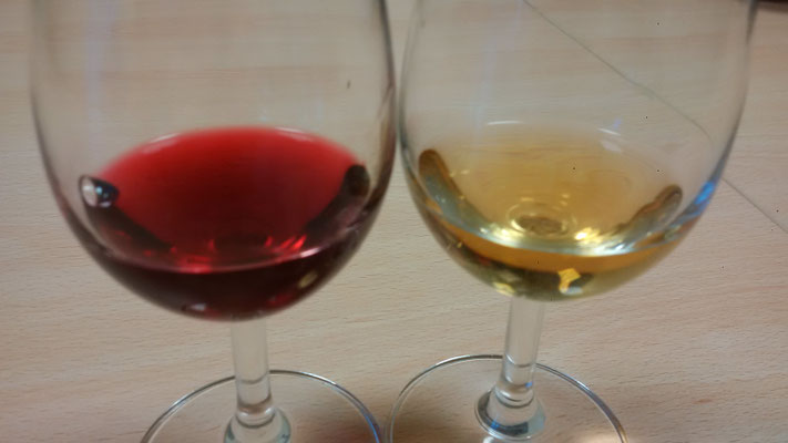 oenologie-degustation-vins-rouge-blanc-vietnam