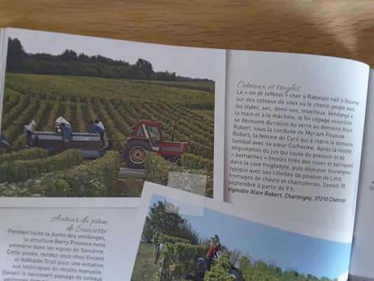 rendez-vous-dans-les-vignes-oenotourisme-val-de-loire-amboise-vouvray-tours-visites-guidees-degustations-vins