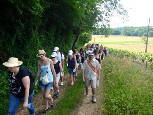 prestation-entreprises-incentive-team-building-randonnee-balade-velo-vignoble-touraine-tours-amboise-vouvray-vallee-loire-Rendez-Vous-dans-les-Vignes