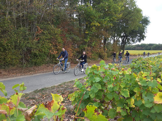 balade-velo-vignoble-touraine-vallee-loire-tours-amboise-vouvray-prestations-entreprises-incentive-team-building-Rendez-Vous-dans-les-Vignes