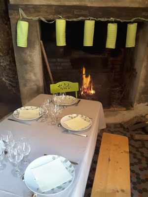 repas-entreprise-vignoble-domaine-viticole-Touraine-Vallee-Loire-Tours-Amboise-Vouvray-RDV-dans-les-Vignes