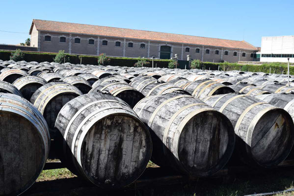 futs-noilly-prat-marseillan-herault-spiritourisme-languedoc