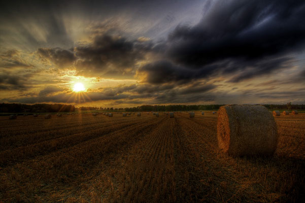 Straw HDR | © Daniel Koch | Fotografie Hamburg