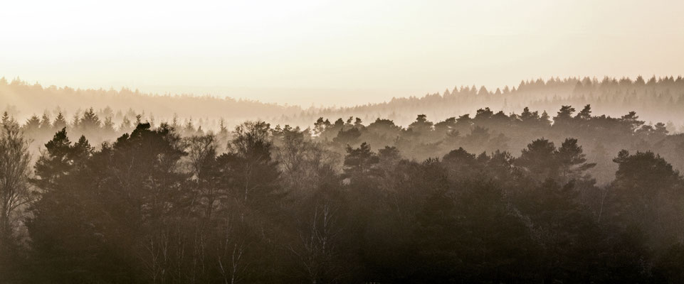 Brunsberg © Daniel Koch | Fotografie Hamburg