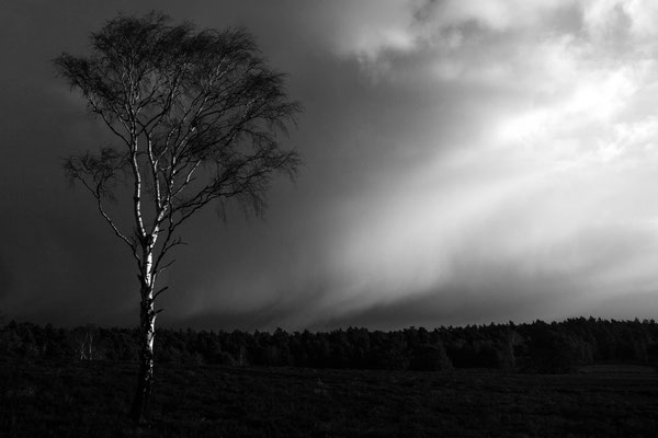 riders on the storm | © Daniel Koch | Fotografie Hamburg