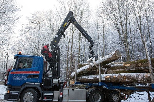 Holzhandel Schweiz