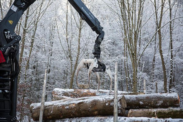 Holzhandel Schweiz