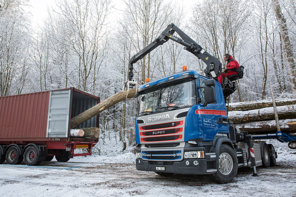 Holzhandel Schweiz