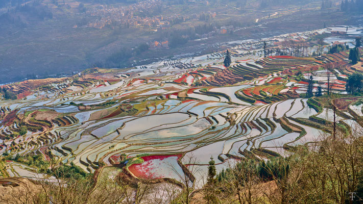 Yuan Yang rice terrace
