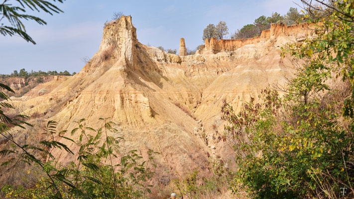 Yuan Mou earth forest