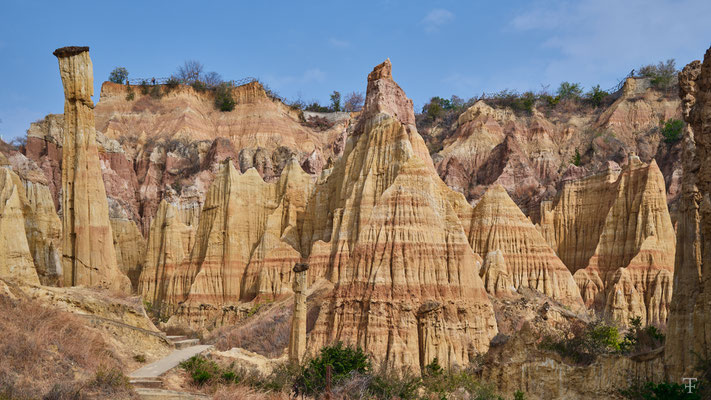 Yuan Mou earth forest