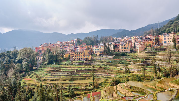Yuan Yang rice terrace