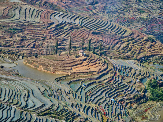 Yuan Yang rice terrace