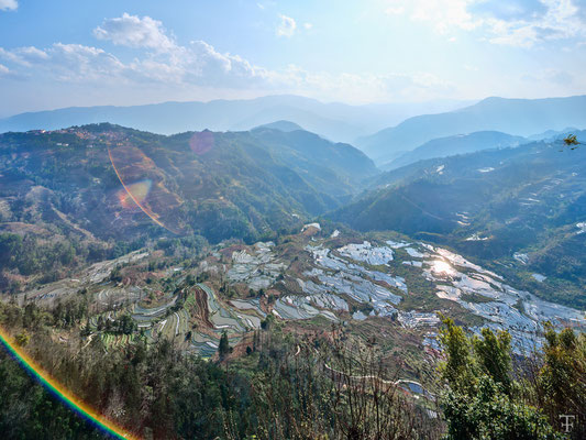 Yuan Yang rice terrace