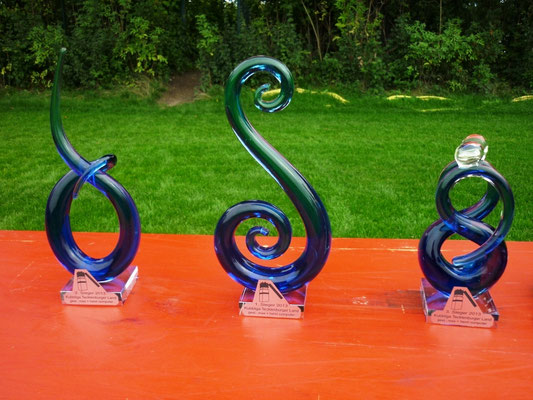 Ligapokale 2013