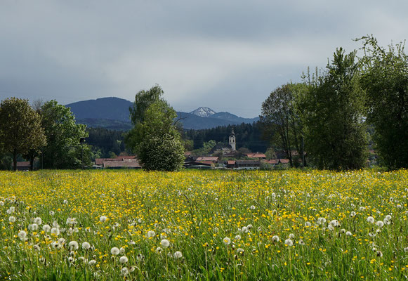 Blick von Willing aus nach Berbling