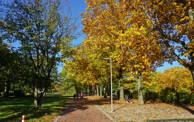 Fuß- und Radweg im Westen, nach Norden