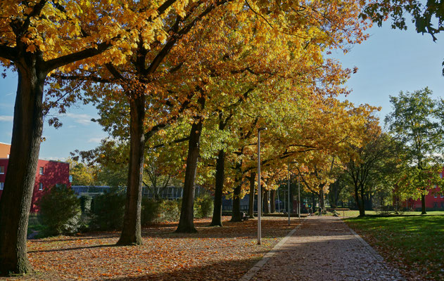 Fuß- und Radweg im Westen, nach Süden