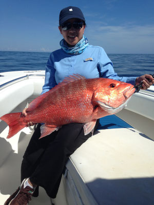 Nice C&R American Red Snapper