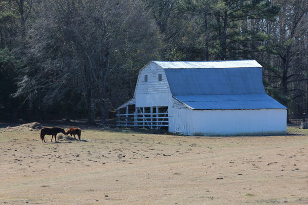 FARMS