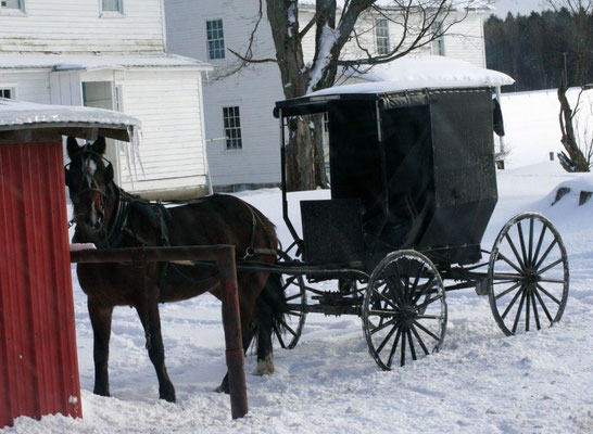 BUGGY VOR AMISH-FARM