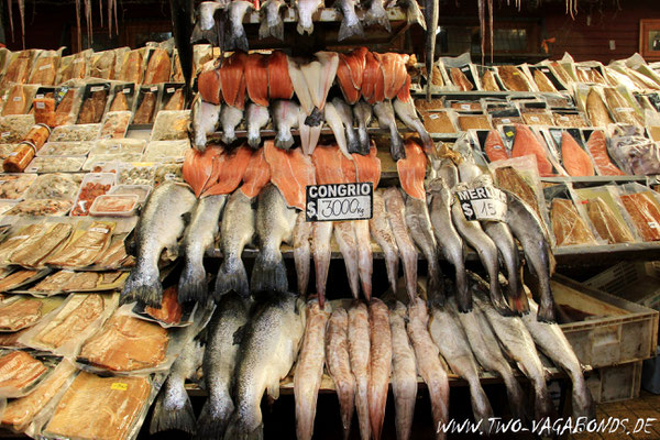 GUT GEFÜLLTER FISCHMARKT