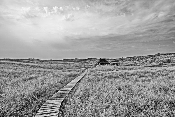 Amrum WW 56