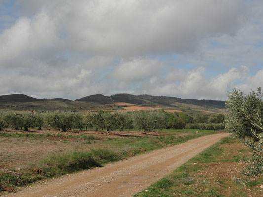 Alcanadre