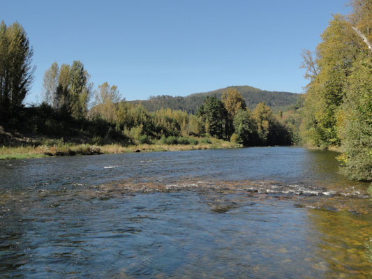 Puerma - Rio Nalon