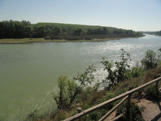 Cartuja Baja - Zaragoza