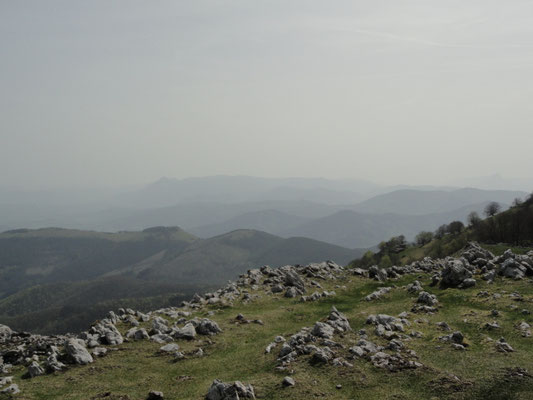Baltsa