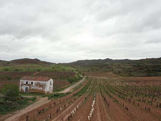 La Grajera