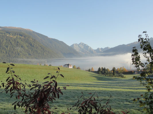 Mittelolang