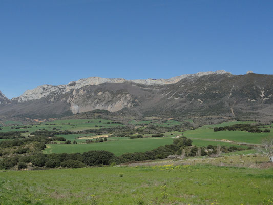 Kripan